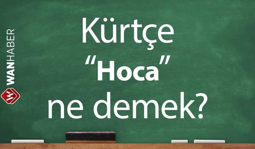 Kürtçe Hoca ne demek? Kürtçe - Türkçe çeviri ve sözlük