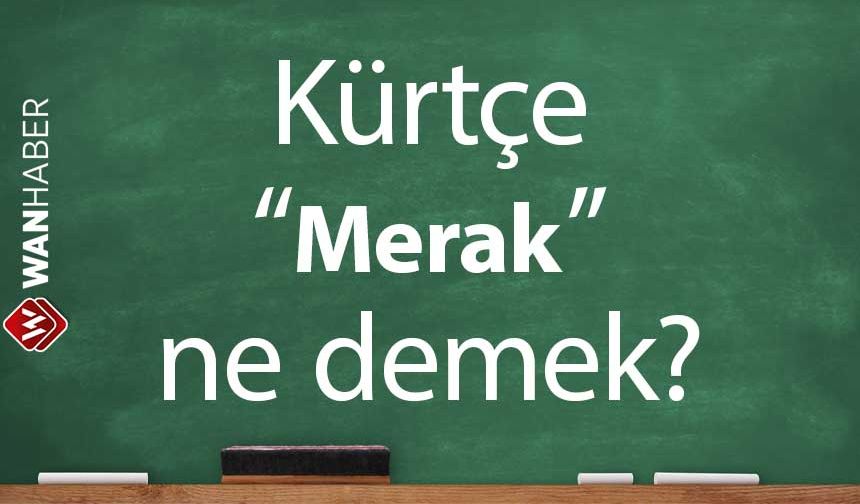 Kürtçe Merak ne demek? Kürtçe - Türkçe çeviri ve sözlük