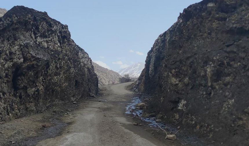 Van-Bahçesaray kara yolu 113 gündür kapalı