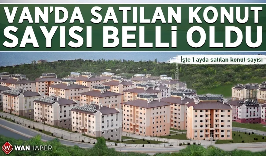 Van’da satılan konut sayısı belli oldu
