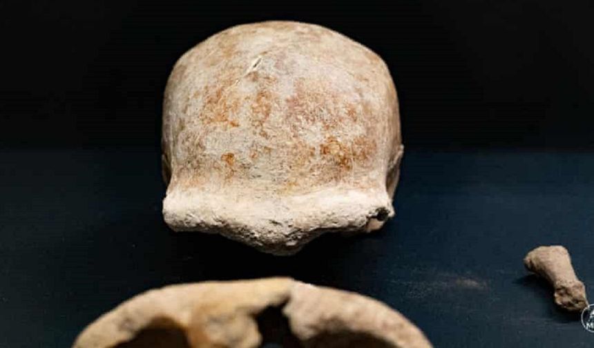 Hangi Yıl İlk Neandertal Fosili Bulunmuştur?