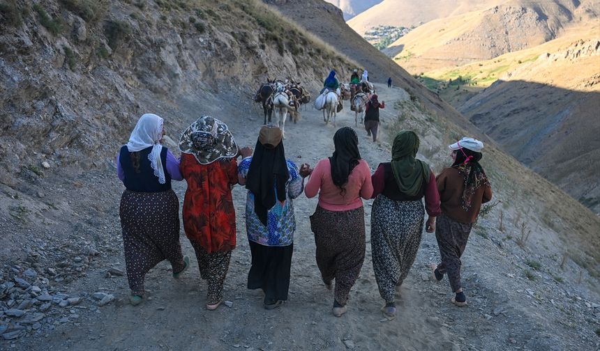 Van'daki berivanların yayla yolculuğu