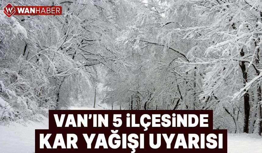 Van'ın 5 ilçesi için kar yağışı uyarısı!