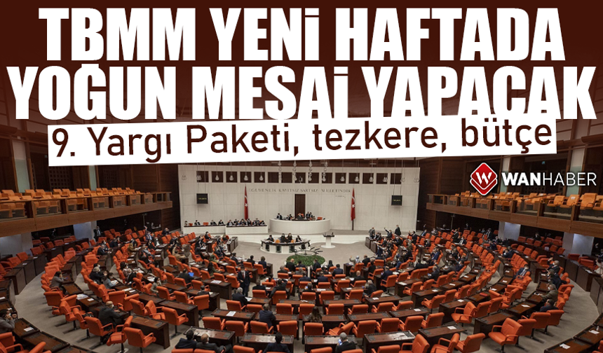 TBMM'de yoğun hafta: 9. Yargı Paketi, tezkere, bütçe