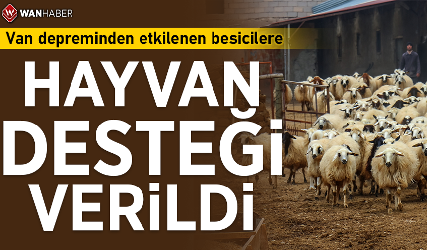 Van depreminden etkilenen besicilere hayvan desteği verildi