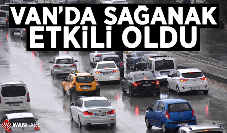 Van'da sağanak etkili oldu