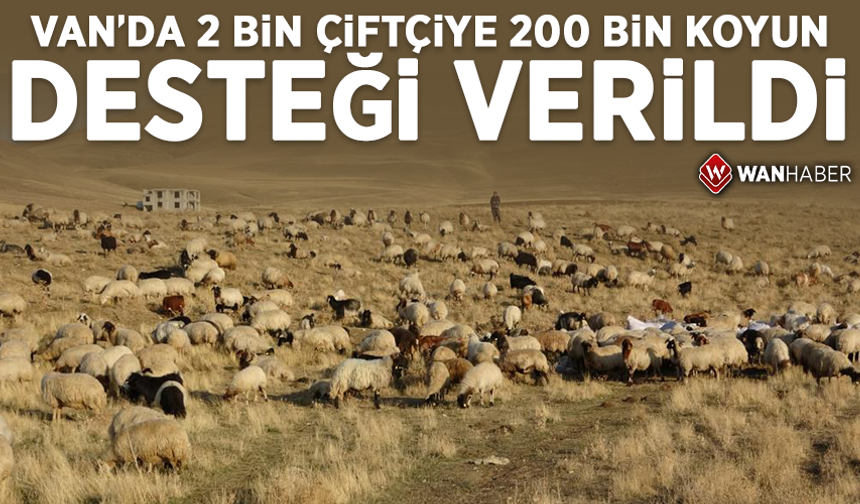 Van'da 2 bin çiftçiye 200 bin koyun desteği verildi