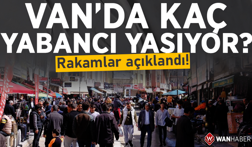 Van’da kaç yabancı yaşıyor? O veriler açıklandı