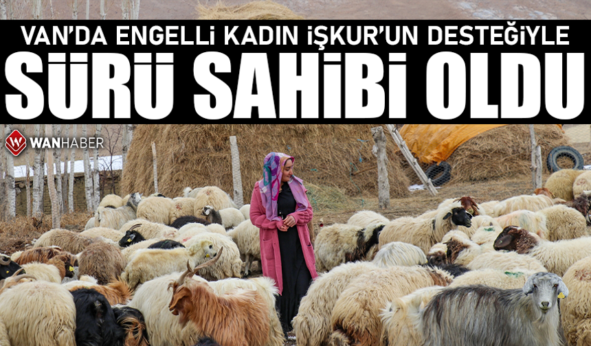 Van'da ortopedik engelli kadın, İŞKUR'un desteğiyle sürü sahibi oldu