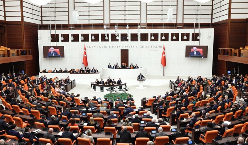 TBMM'de 2024 nasıl geçti?