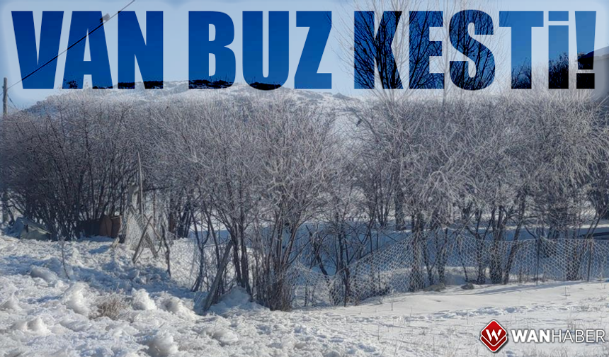 Van buz kesti!