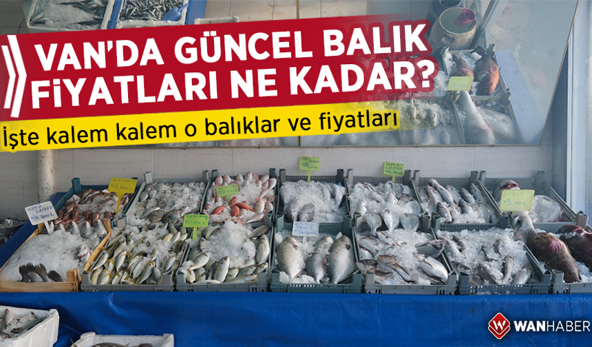 Van’da güncel balık fiyatları ne kadar? İşte kalem kalem o balıklar ve fiyatları