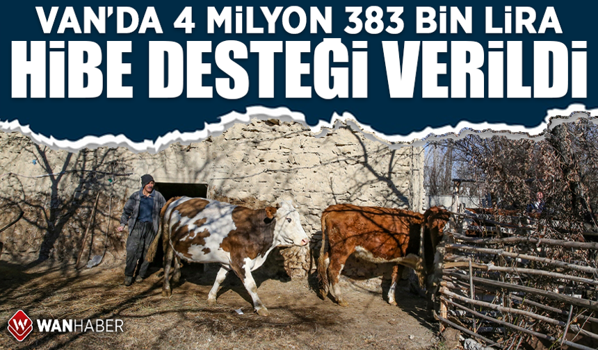 Van'da engellilere 4 milyon 383 bin lira hibe desteği verildi