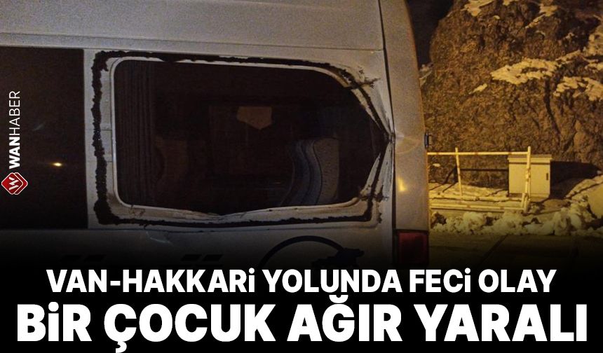 Van-Hakkari yolunda feci olay!