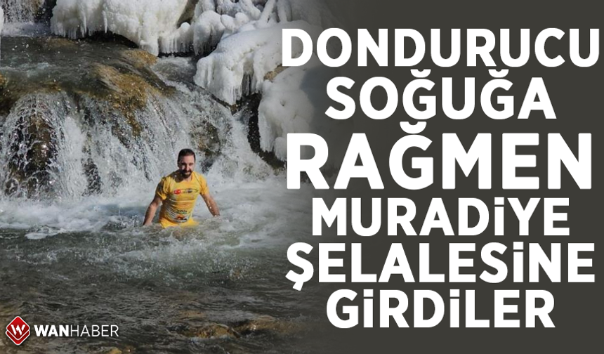 Dondurucu soğuğa rağmen Muradiye şelalesine girdiler