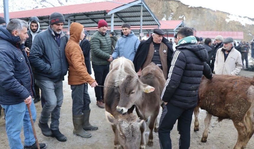 Erzurum'daki o hayvan pazarı yeniden açıldı