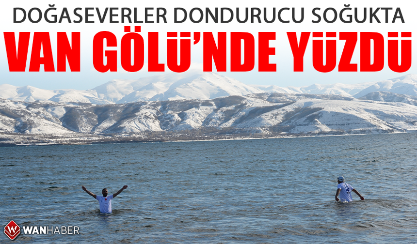 Doğaseverler dondurucu soğukta Van Gölü'nde yüzdü