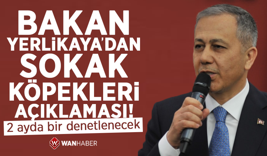 Bakan Yerlikaya'dan sokak köpekleri açıklaması! Bütün iller iki ayda bir denetlenecek