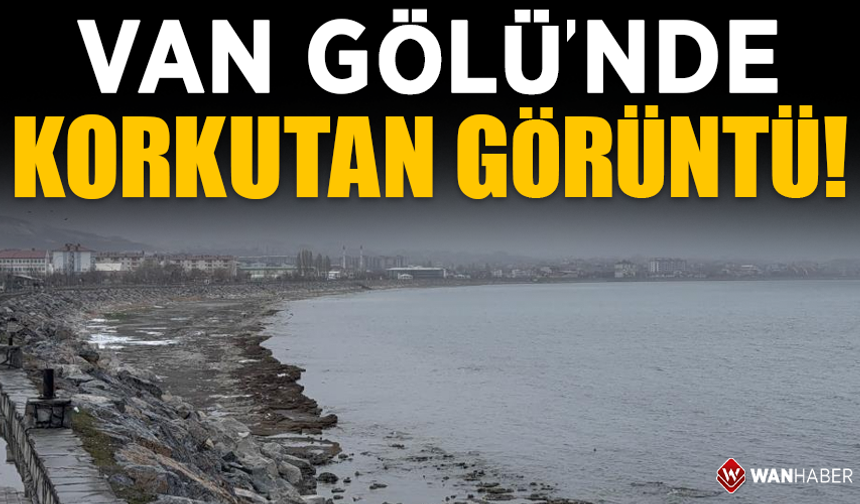 Van Gölü'nde korkutan görüntü! Çekilme devam ediyor