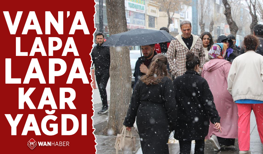 Van'a lapa lapa kar yağdı