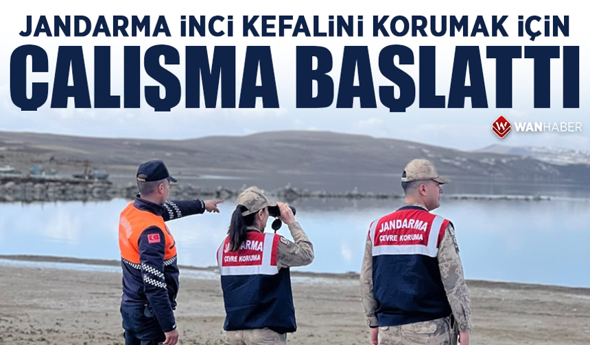 jandarma, inci kefalini korumak için çalışma başlattı
