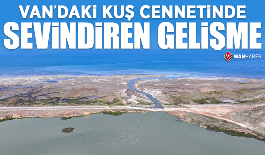 Van'daki kuş cennetinde sevindiren gelişme