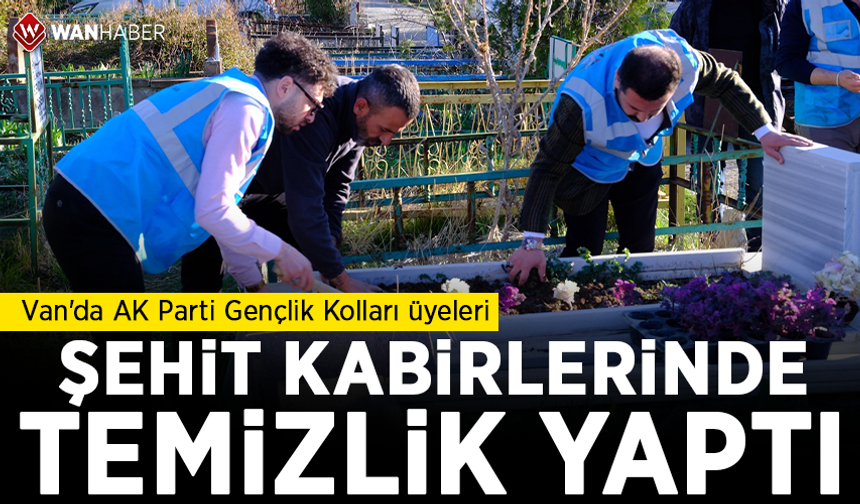 Van'da AK Parti'li gençler, şehit kabirlerinde temizlik yaptı