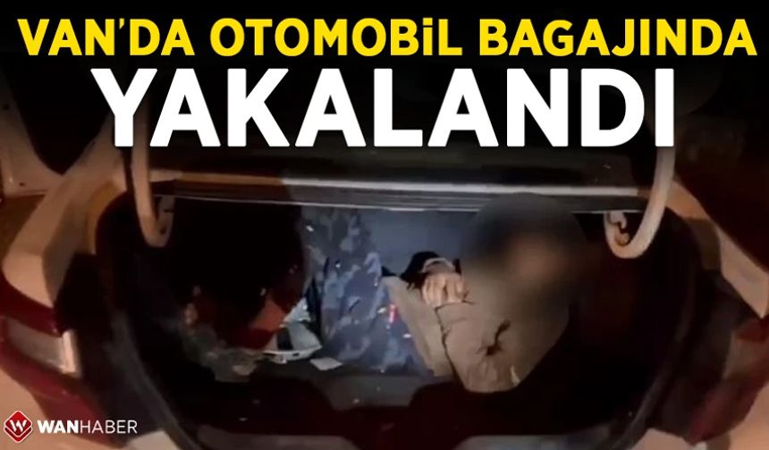 Van'da düzensiz göçmenler otomobil bagajında yakalandı