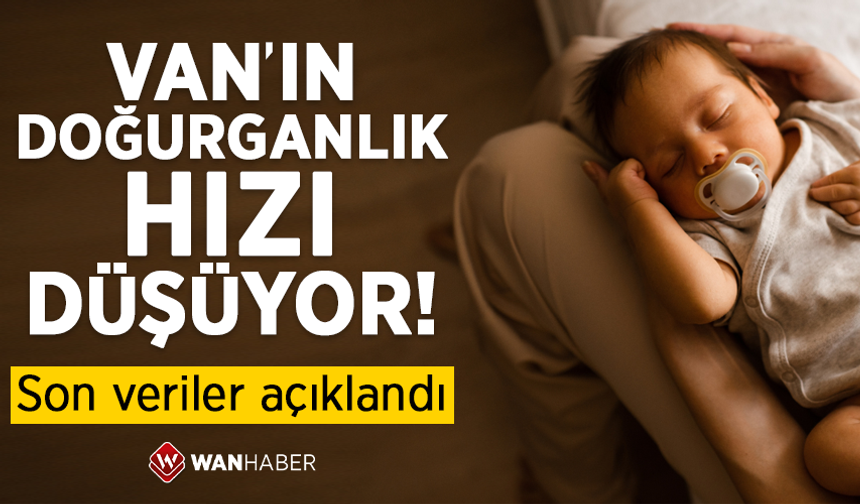 Van’ın doğurganlık hızı düştü!