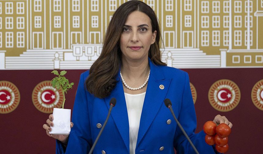 Vanlı Milletvekili Rızvanoğlu Muradiye Şelalesi için bütüncül proje önerdi!
