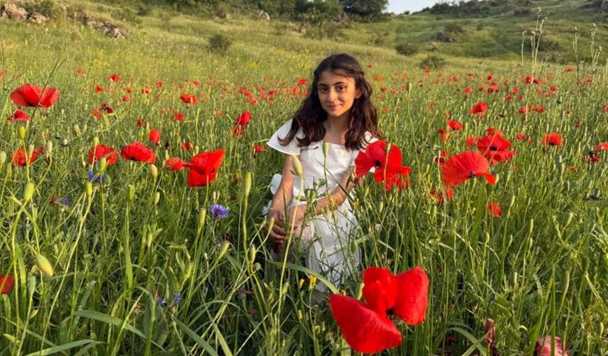 Gelincik tarlaları görsel şölen sunuyor