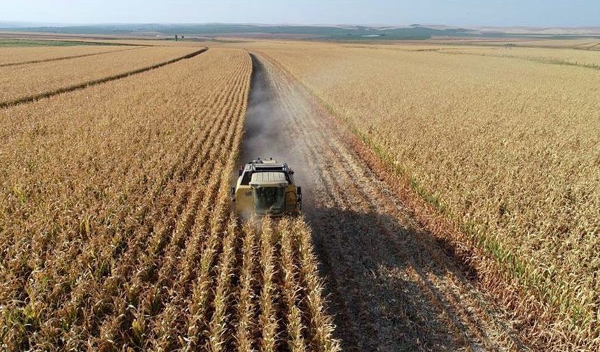 Türkiye genelindeki tarım sayımında sona yaklaşıldı