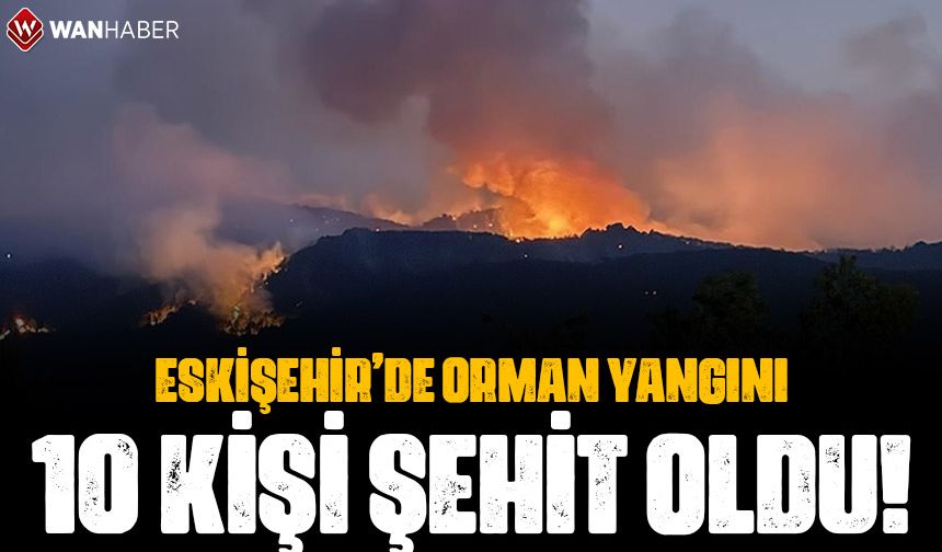 Eskişehir'de orman yangını: 10 şehit!