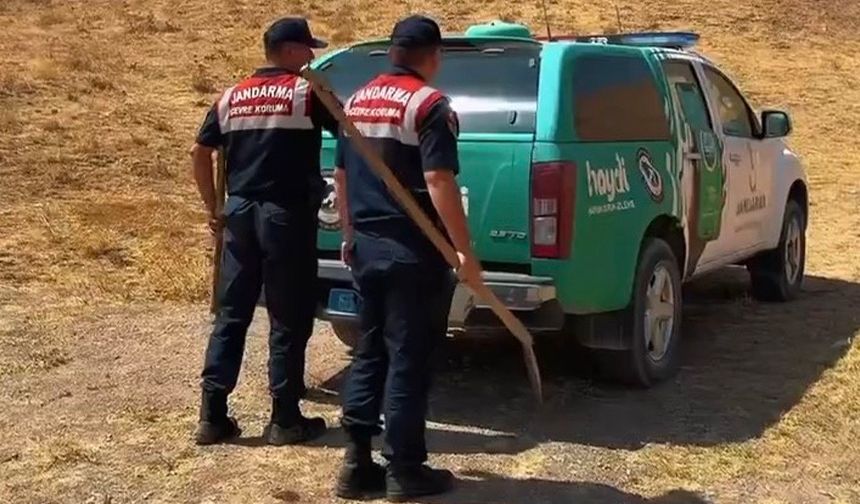 Van'da yaban hayatına minik su havuzları