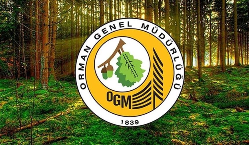 Orman Genel Müdürlüğüne 496 sözleşmeli personel alınacak