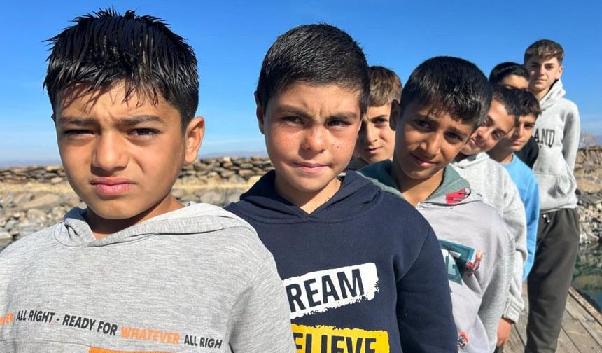 Van Gölü'nde mevsimsel saç değişimi: Yazın sarı, kışın koyu ton