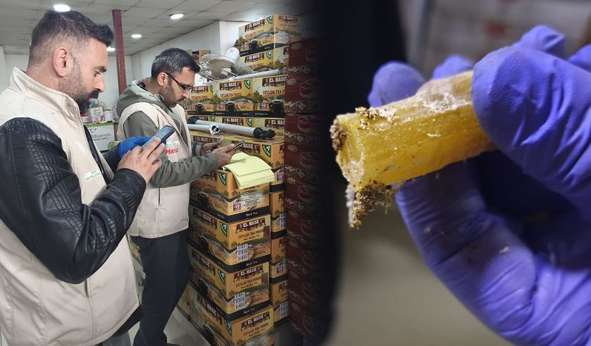 Van'da 2 ton bozuk gıda ele geçirildi