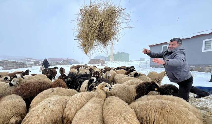 Kars'ta besicilerin zorlu kış mesaisi başladı