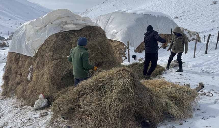 Besiciler hayvanları için kar ve soğukla mücadele ediyor