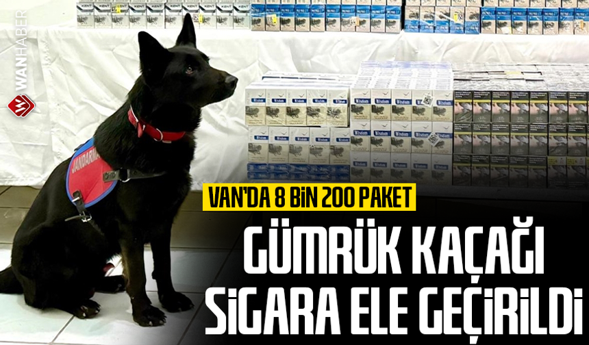 Van'da 8 bin 200 paket gümrük kaçağı sigara ele geçirildi
