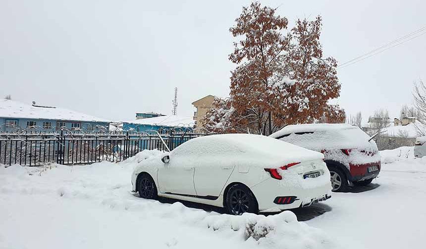 Başkale'de kar etkili oldu