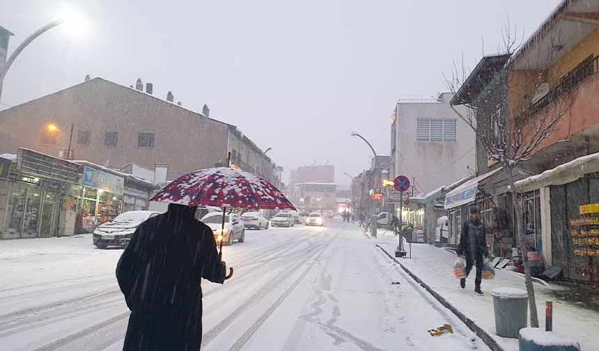 Başkale'de kar yağışı etkili oldu
