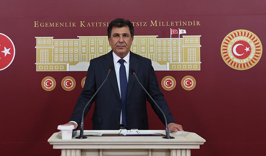 DEM Parti'li Dindar, Van'da doğal gaz konusunda sorun yaşanıyor