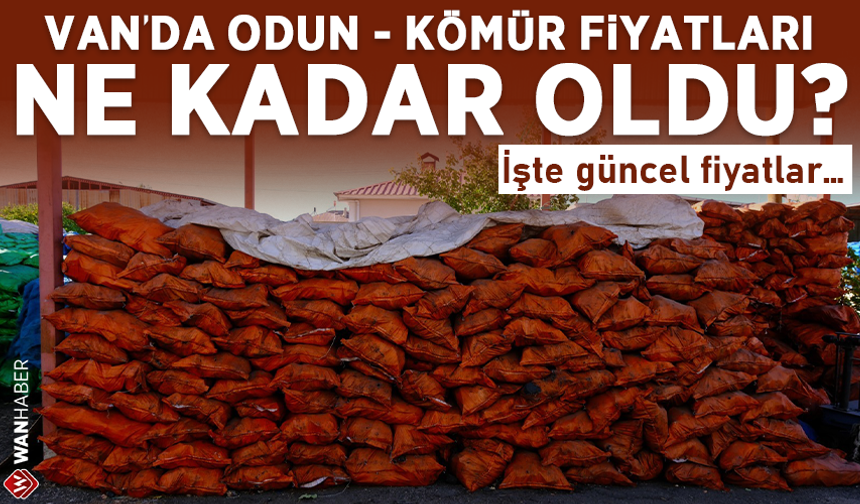 Van'da odun kömür fiyatları cep yakıyor! İşte güncel fiyatlar…