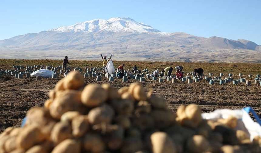 Bitlis'te hummalı hasat mesaisi