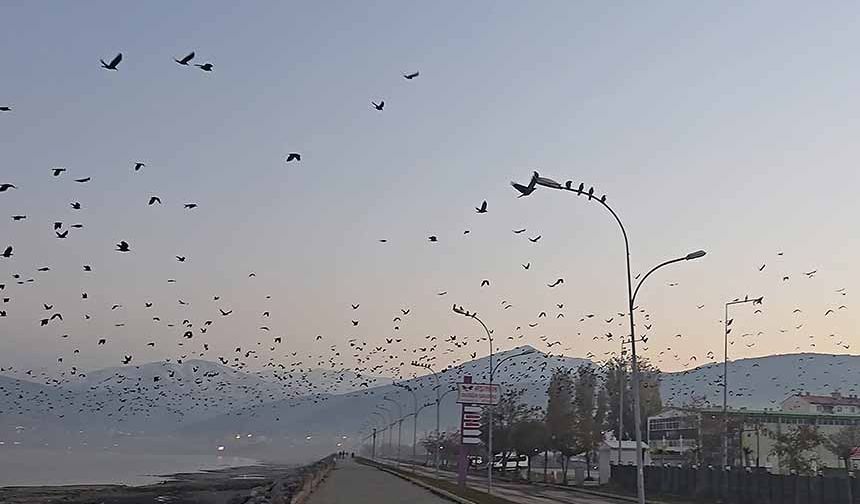 Van Gölü sahilinde gökyüzünde sıra dışı manzara