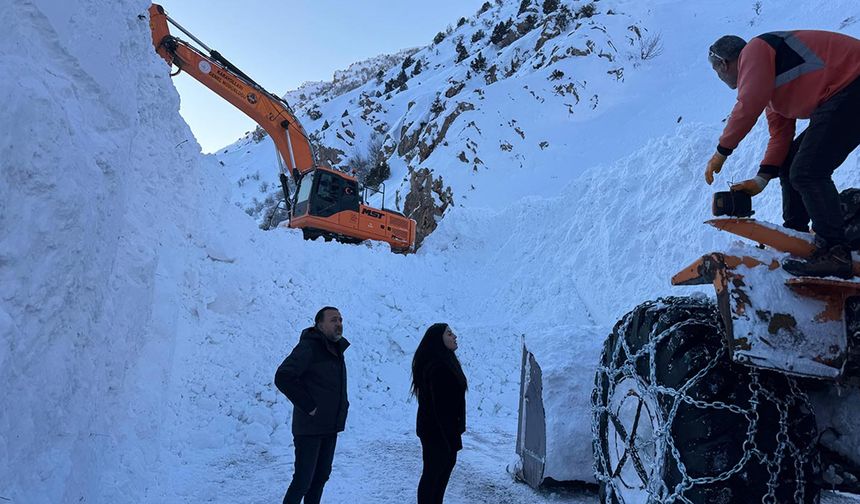 Van-Çatak kara yolu 4 gündür ulaşıma kapalı