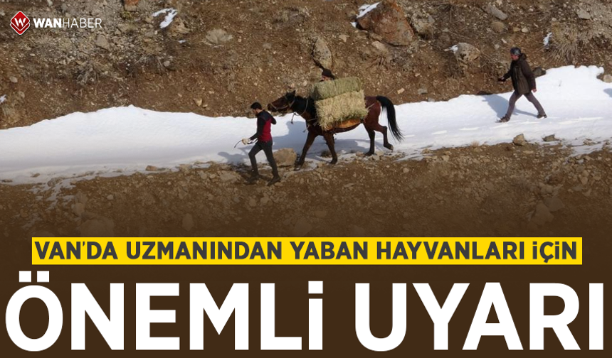 Van'da uzmanından yaban hayvanları için önemli uyarı