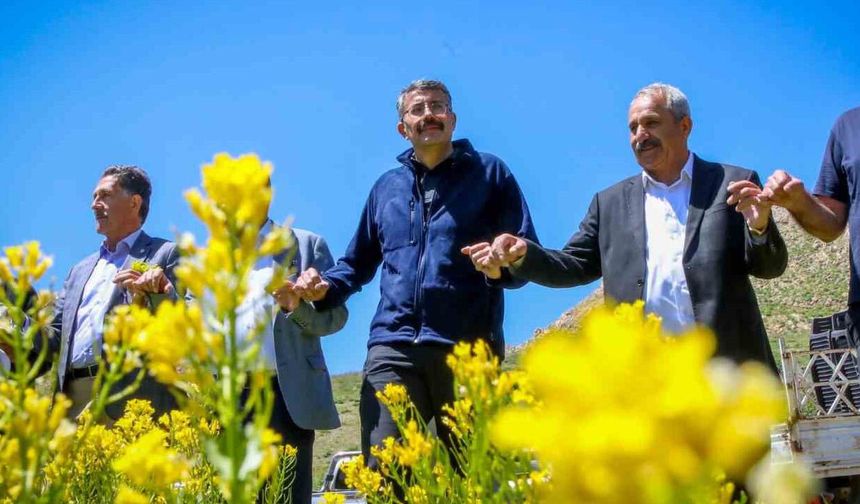 Halkın içinde olan vali, bakan yardımcısı oldu