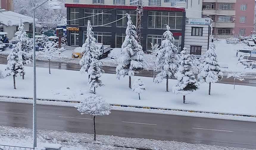 Erciş’te yoğun kar yağışı